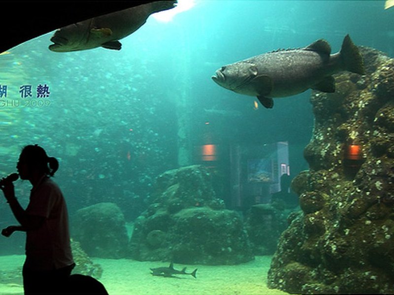 澎湖水族館